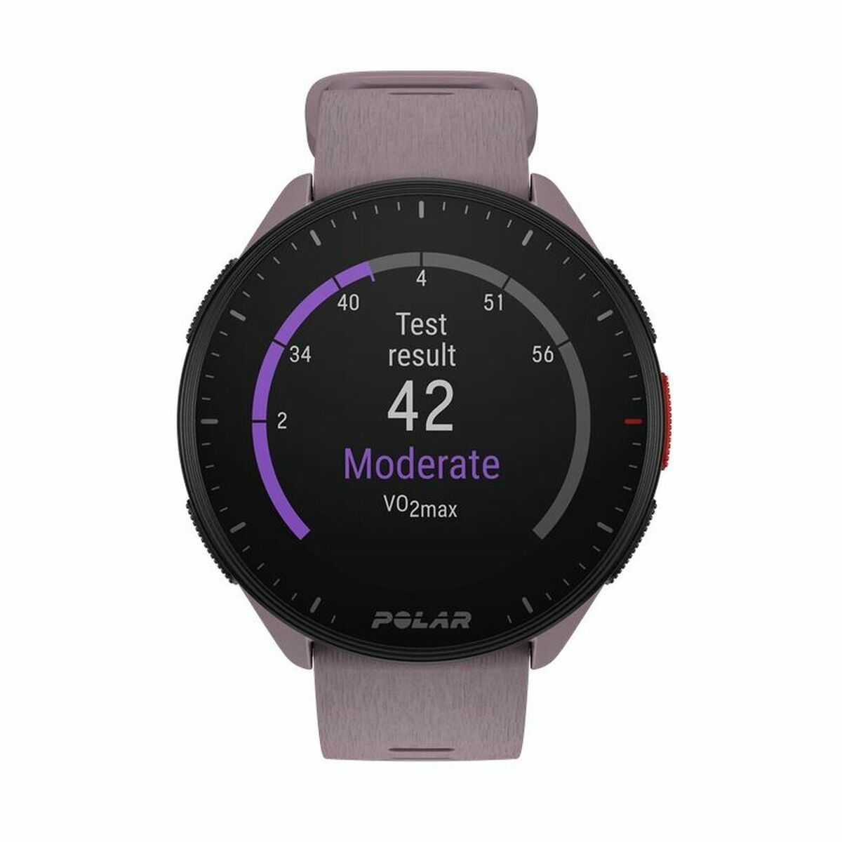 Smartwatch con Podómetro Running Polar Morado 1,2"  Comprati.