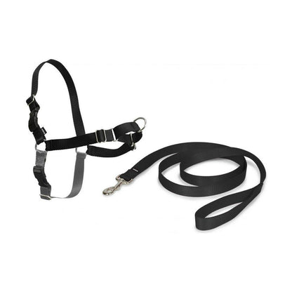 Arnés para Mascotas PetSafe Easy Walk Negro Medianav (M)  Comprati.