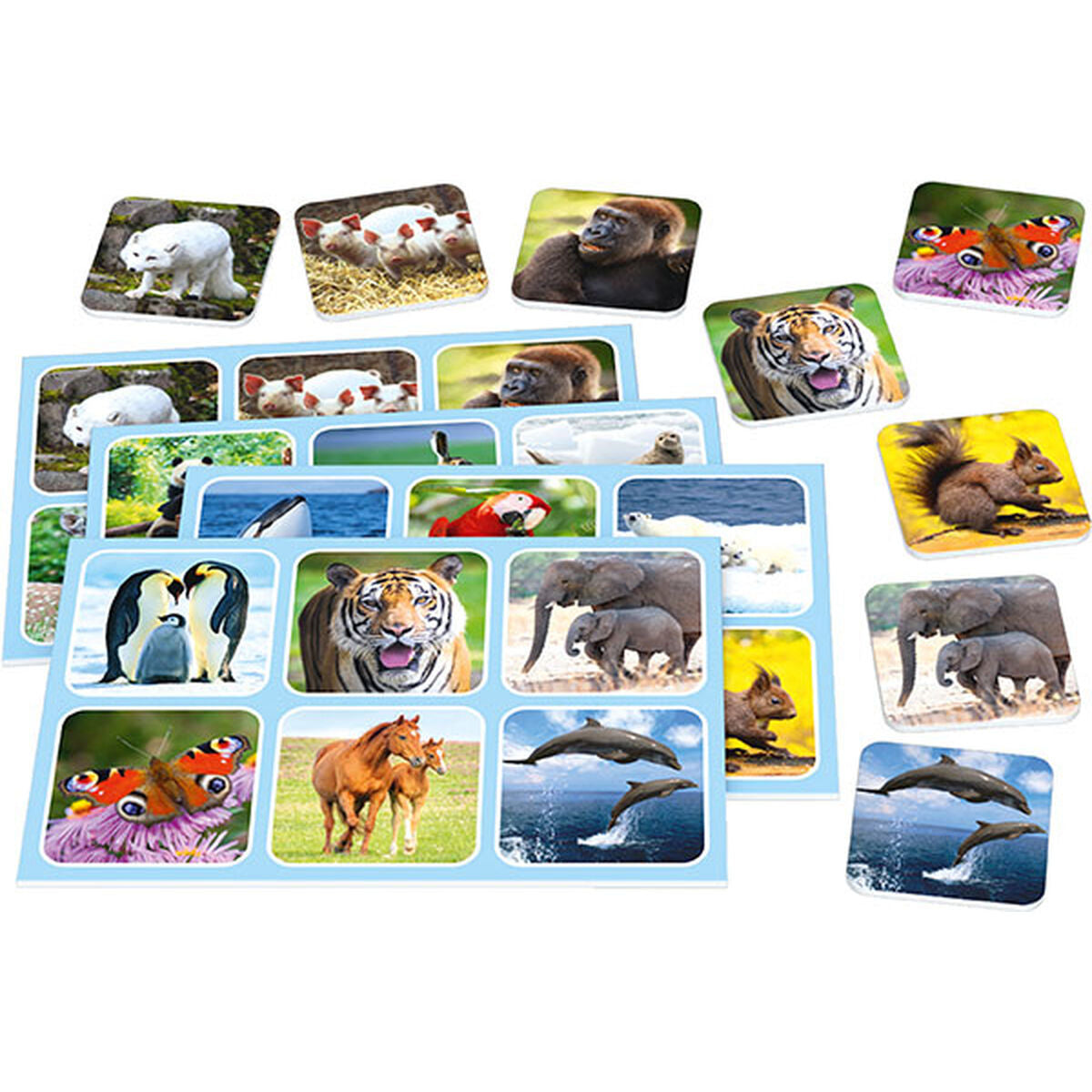 Juego de Mesa Schmidt Spiele Zoo Lotto Animales  Comprati.