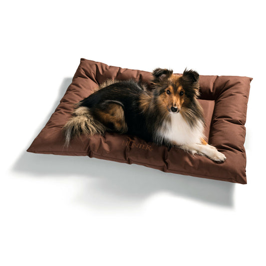 Cama para Perro Hunter Gent Antibacteriano Marrón 100x70 cm  Comprati.