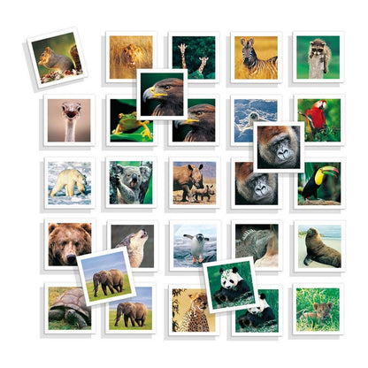 Juego Educativo Diset Memo Photo Animales 54 Piezas  Comprati.