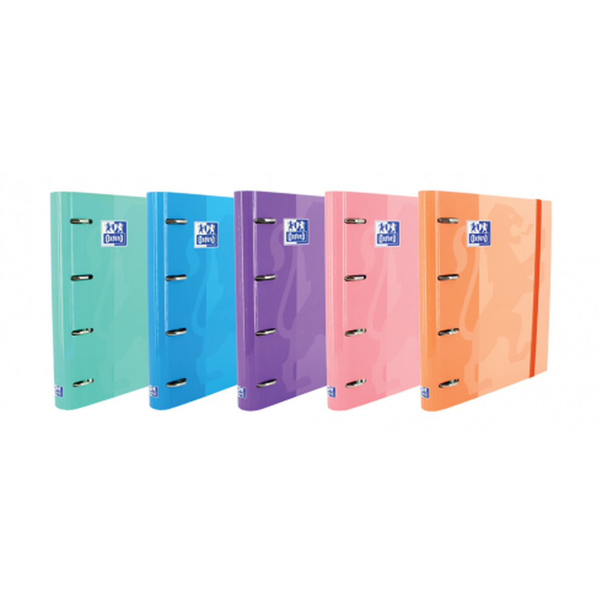 Carpeta Oxford Europeanbinder 1 unidad A4 A4+  Comprati.