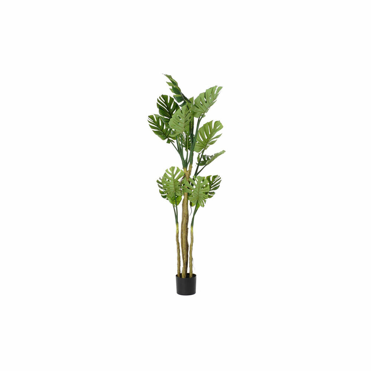 Árbol DKD Home Decor Monstera 75 x 75 x 180 cm Polipropileno  Comprati.