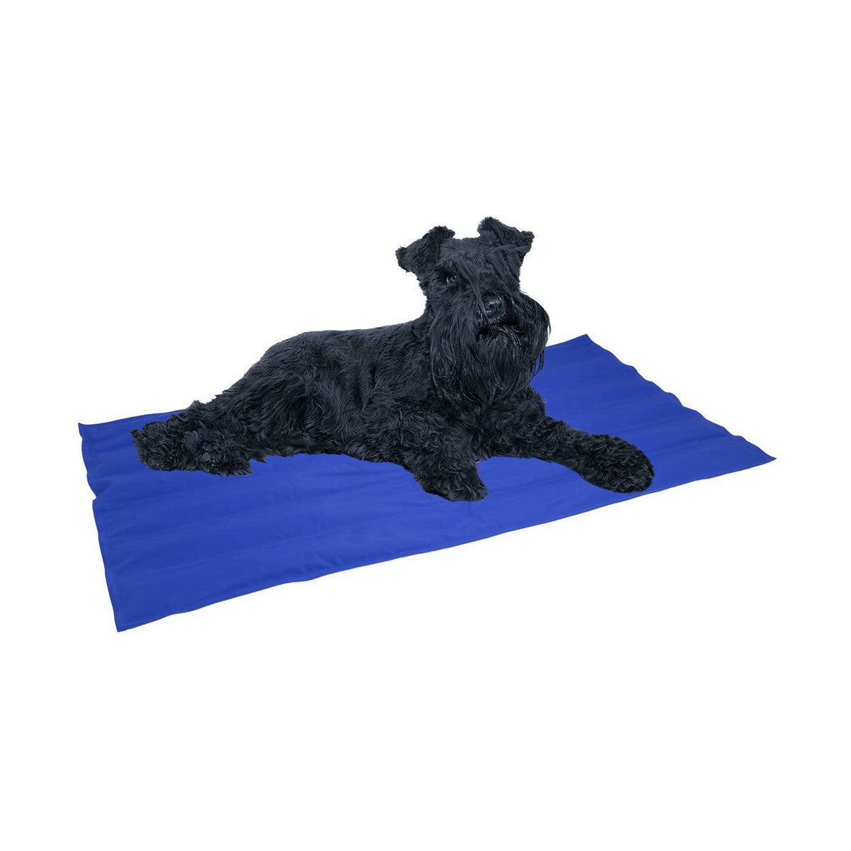 Alfombra para perros Nayeco Cool mat Azul Gel refrigerante (50 x 40 cm)  Comprati.