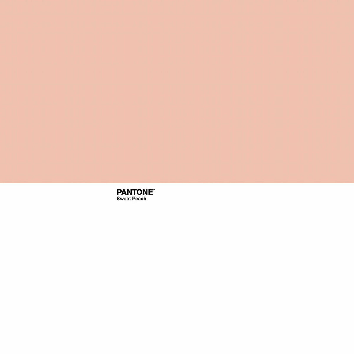 Colcha Sweet Peach Pantone  Comprati.