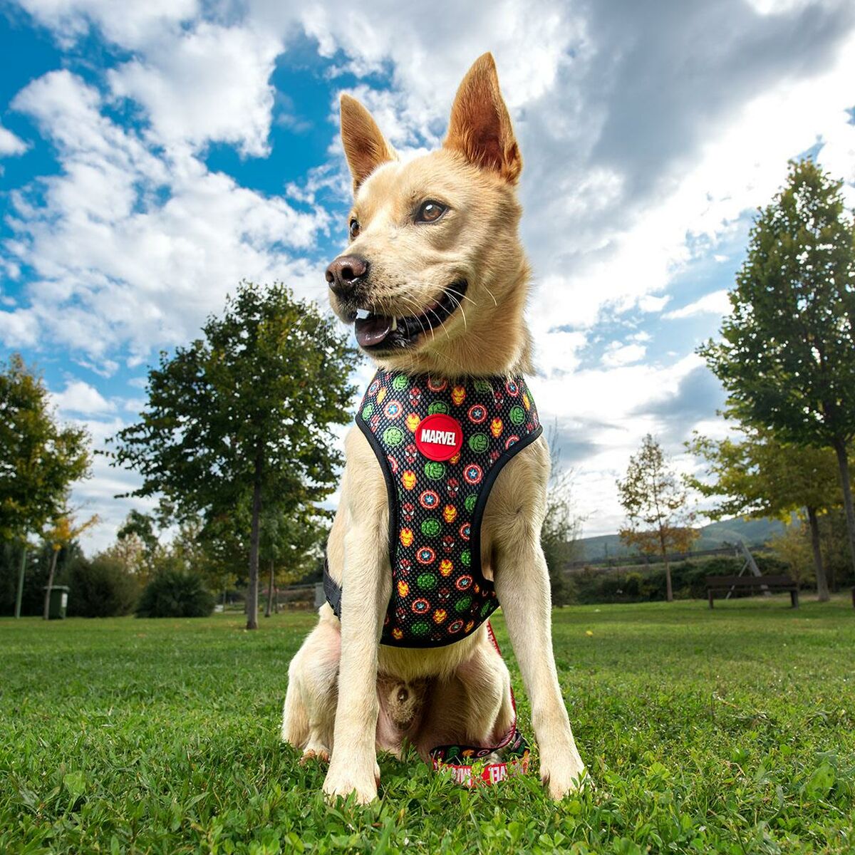 Arnés para Perro Marvel Reversible S/M Rojo  Comprati.