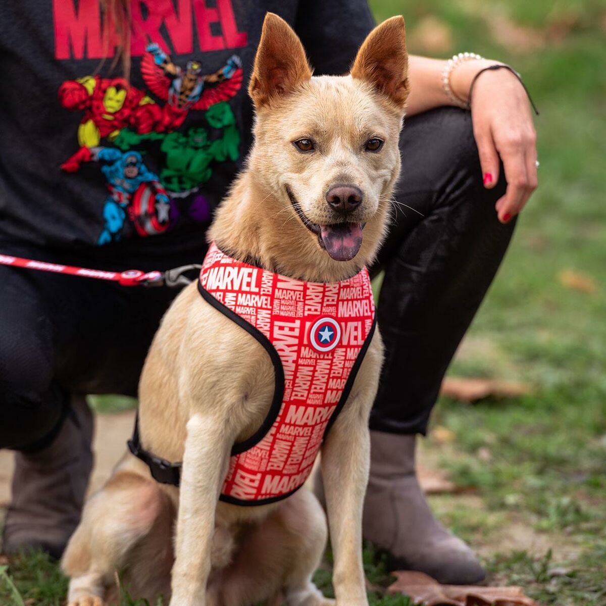 Arnés para Perro Marvel M/L Rojo  Comprati.