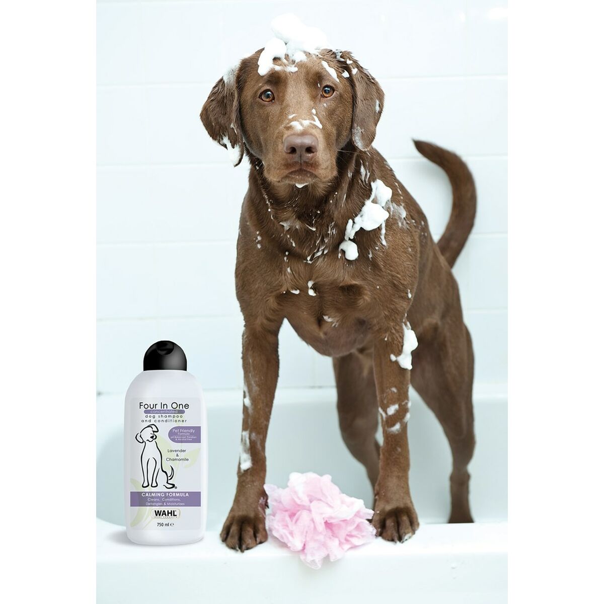 Champú para mascotas Wahl 3999-7010 750 ml Blanco  Comprati.