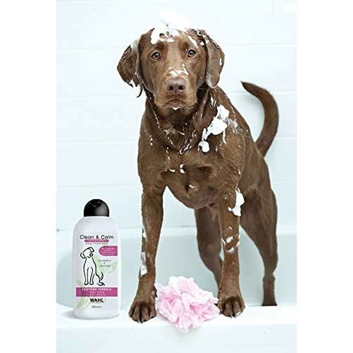 Champú para mascotas Wahl Clean & Calm 750 ml  Comprati.