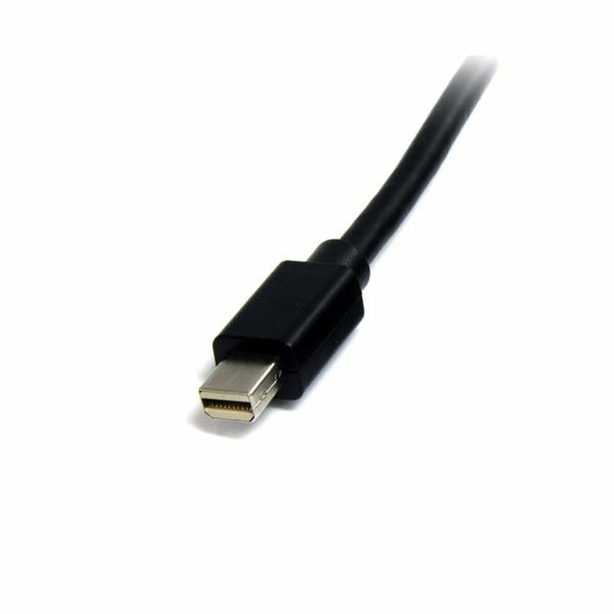 Cable Mini DisplayPort Startech MDISP2M              (2 m) 4K Ultra HD Negro  Comprati.