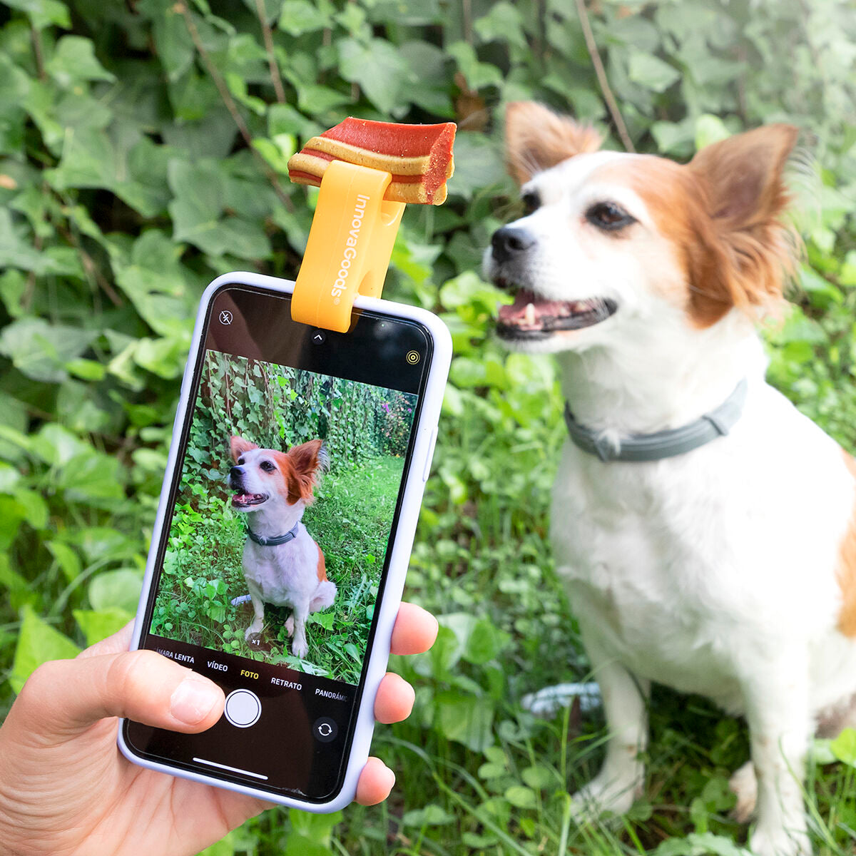 Clip de Selfies para Mascotas Pefie InnovaGoods  Comprati.