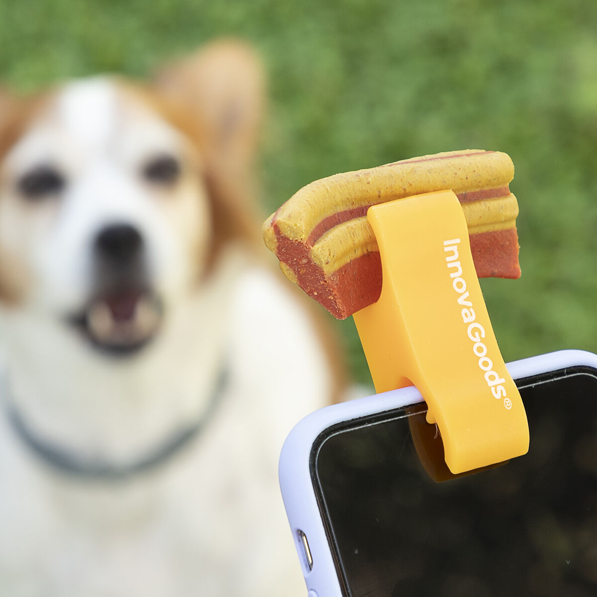 Clip de Selfies para Mascotas Pefie InnovaGoods  Comprati.